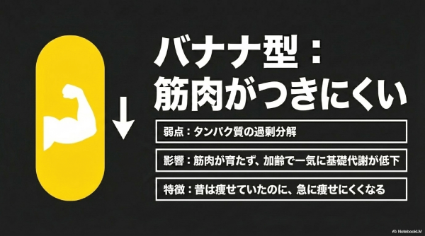 β2AR遺伝子（バナナ型：筋肉がつきにくい）