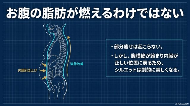 すべての運動に共通｜お腹痩せに部分痩せは難しい