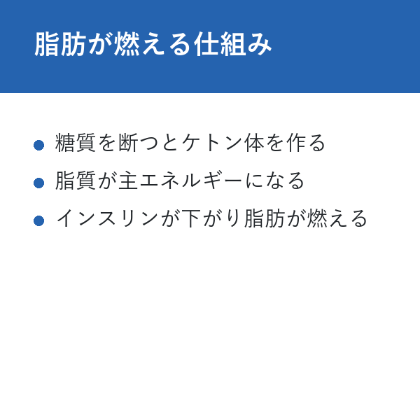 ケトジェニックダイエット完全ガイド 脂肪が燃える仕組み