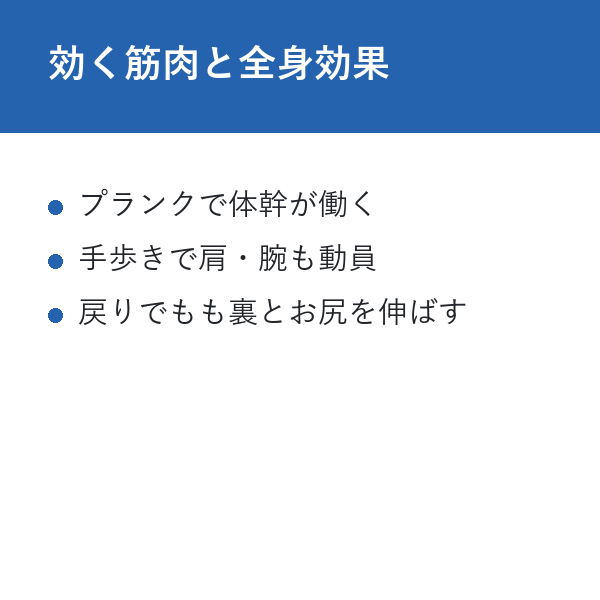 自宅 インチワームトレーニング 効く筋肉と全身効果