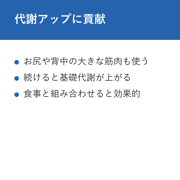 プランクローテーション 代謝アップに貢献